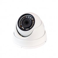 Caméra dôme non motorisée 1080P filaire intérieure / extérieure 1080P -  YALE SMART LIVING - - Domo Confort